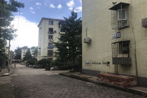 南廠住宅 中區(qū) 優(yōu)點(diǎn) 不足,南廠住宅 中區(qū) 怎么樣,南廠住宅 中區(qū) 周邊房產(chǎn)中介經(jīng)紀(jì)人評價